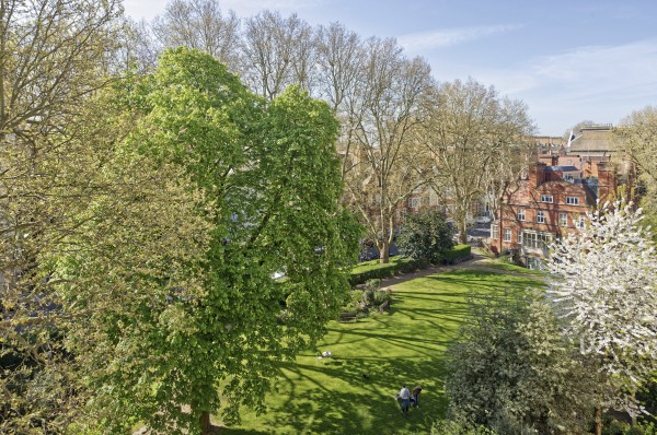 Images for Courtfield Road, So